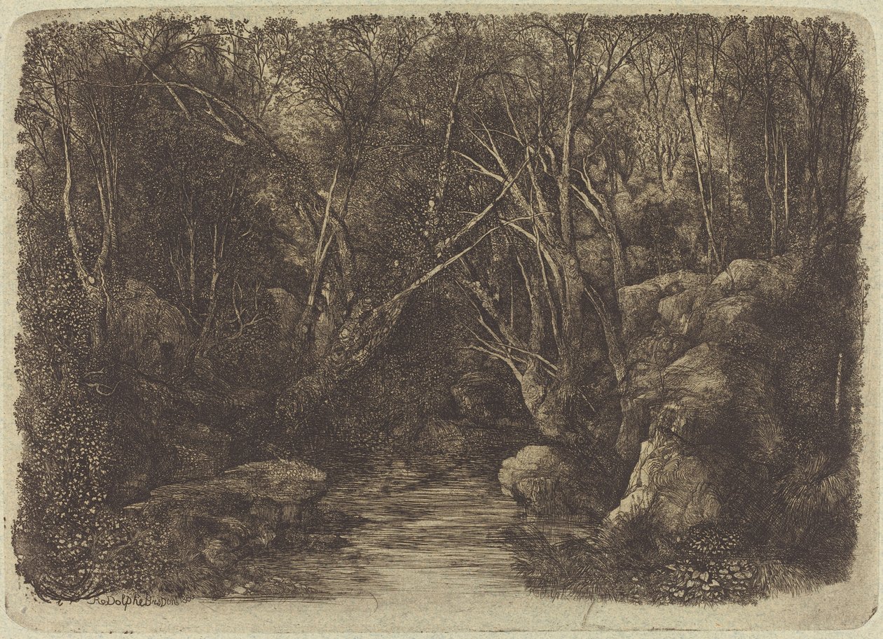 The Brook in the Woods by Rodolphe Bresdin