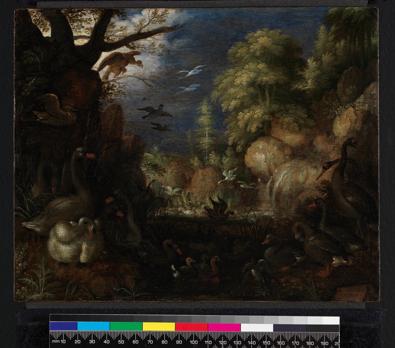 The Creation of Birds, 1619 by Roelandt Jacobsz. Savery