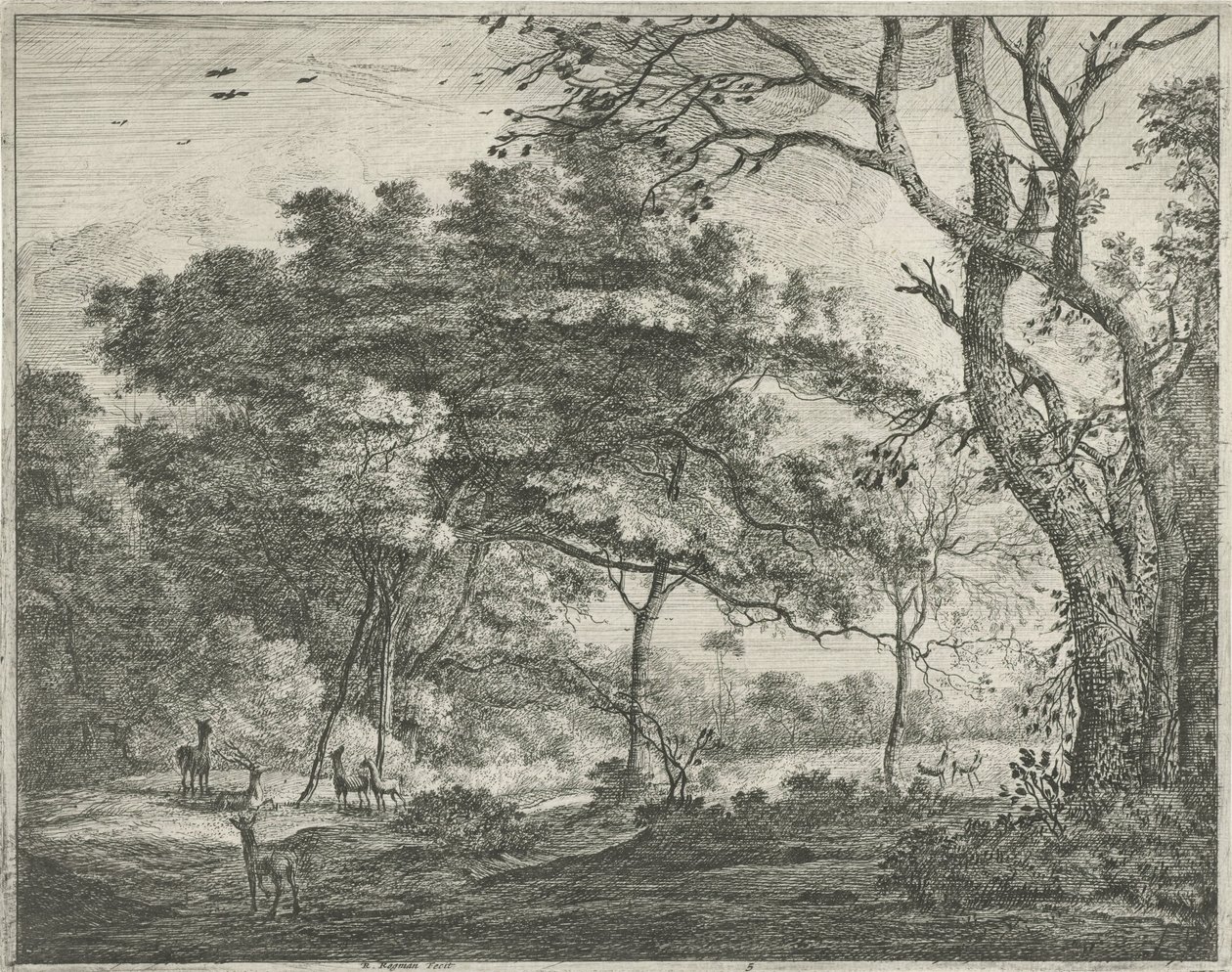 Deer in the Hague Forest by Roelant Roghman
