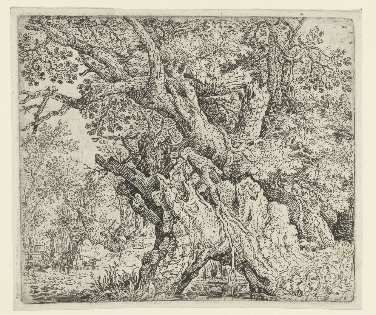 Gnarled Trees near the Water by Roelant Savery