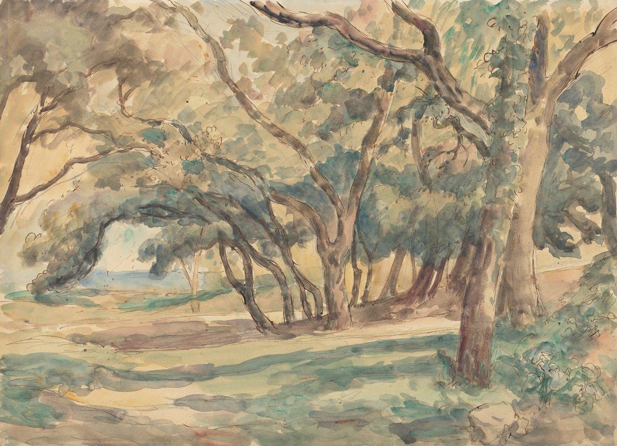 Wooded Glade near St. Tropez by Roger Fry
