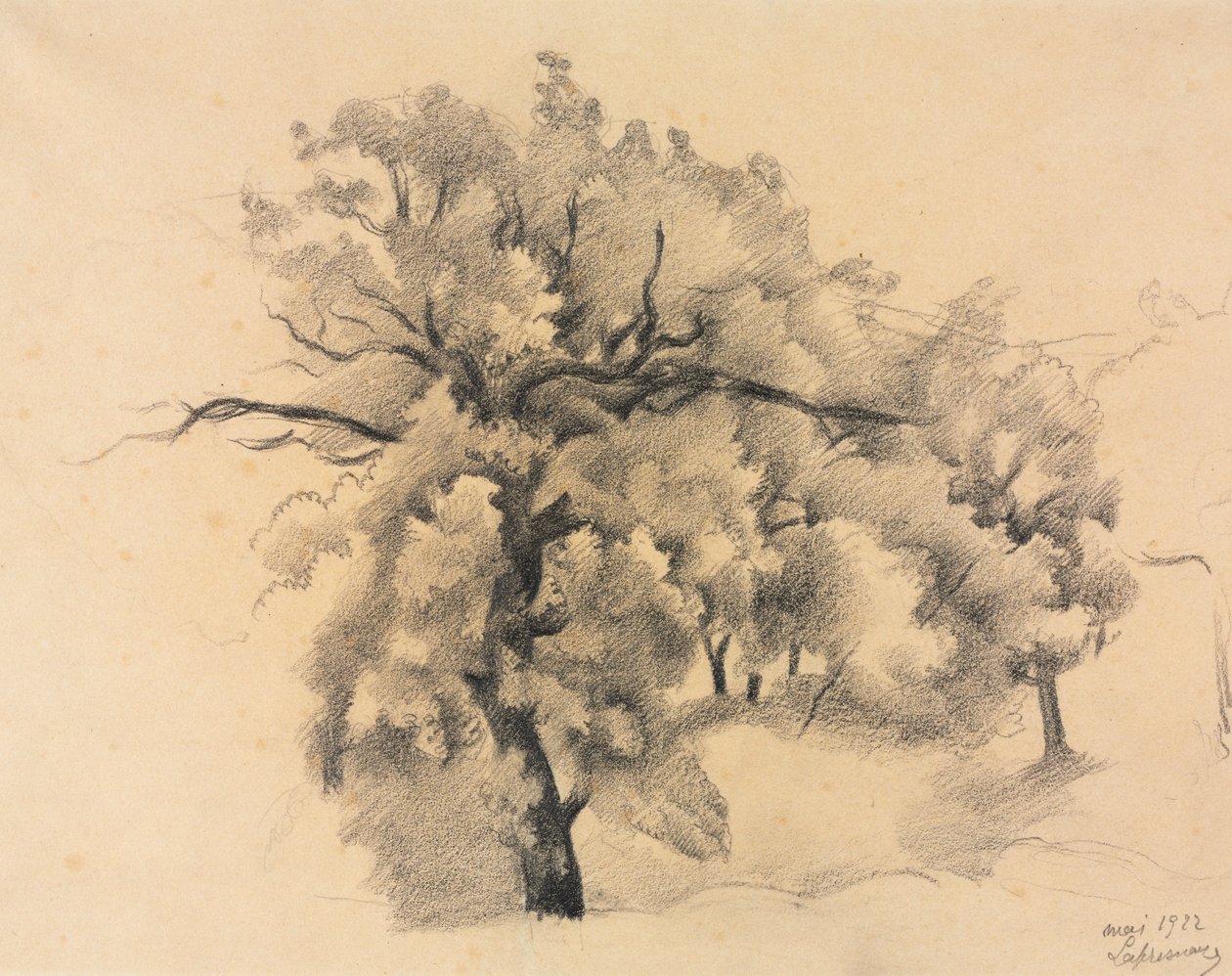 Study of Trees by Roger de La Fresnaye