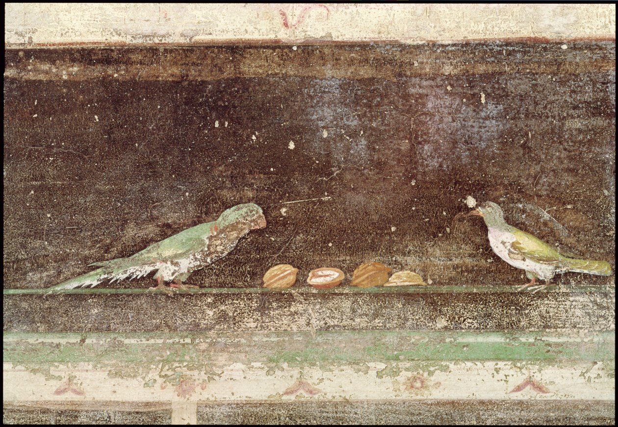 Birds Eating Nuts (detail) by Roman