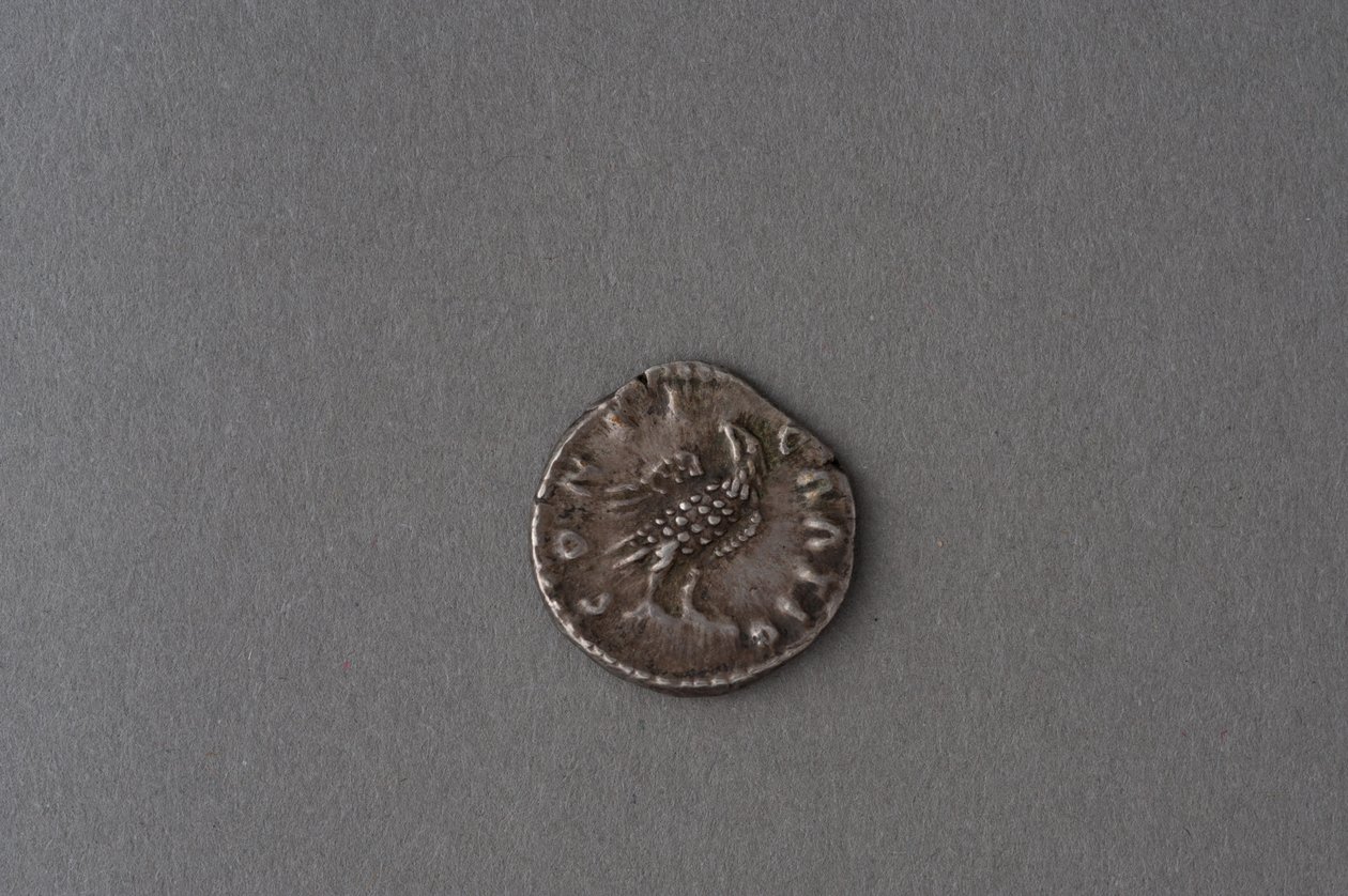 Denarius of Antoninus Pius by Roman