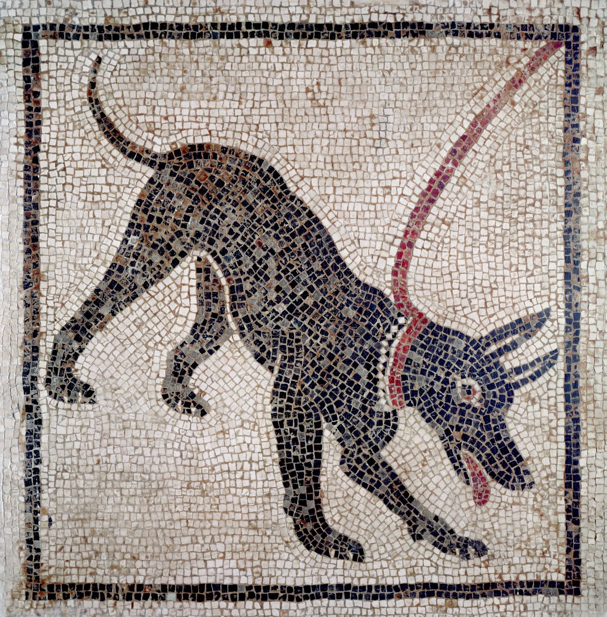 Dog on a Leash, from Pompeii by Roman