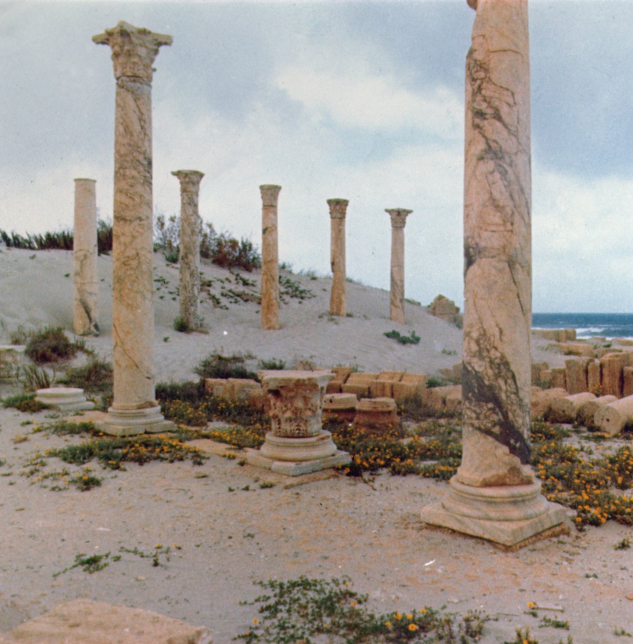 Excavations in the dunes by Roman