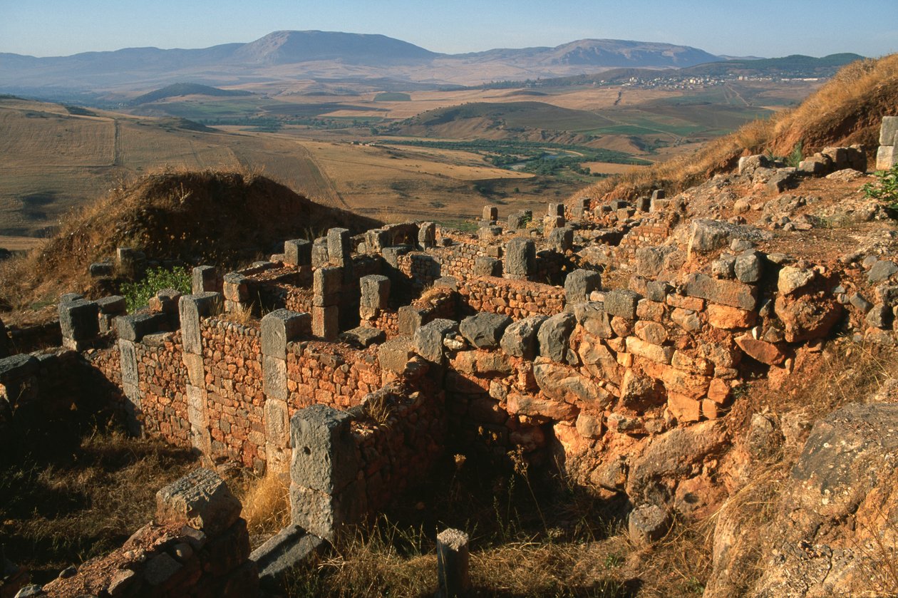 General view of the site by Roman