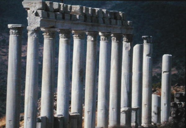 Ruins from the Temple of Trajan by Roman