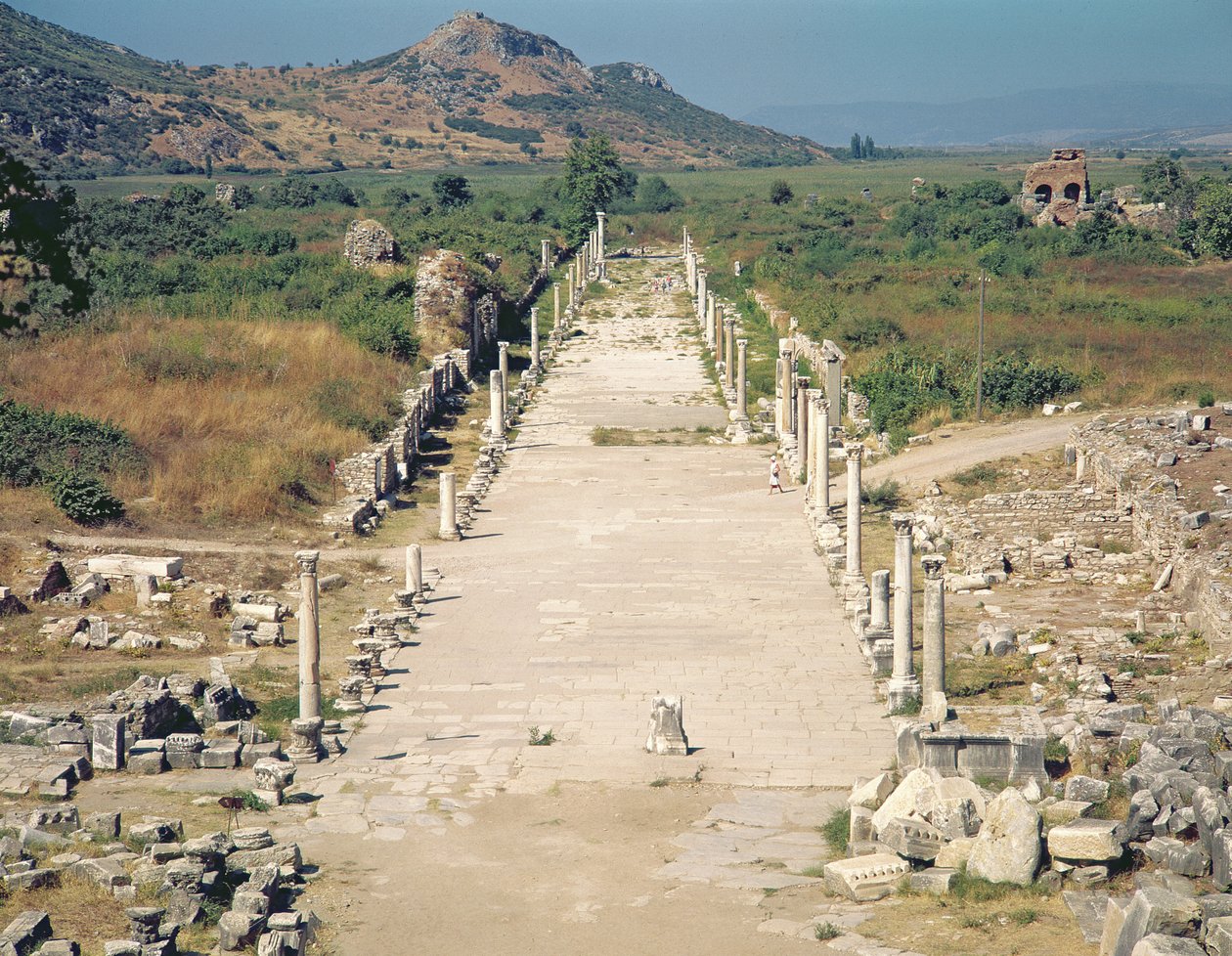 View of the Arcadian Way by Roman