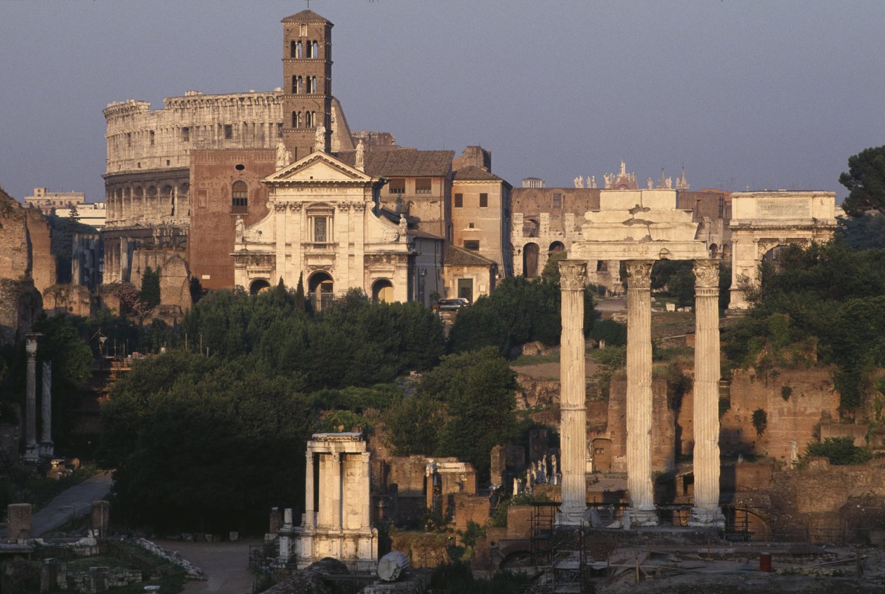 View of the Forum by Roman