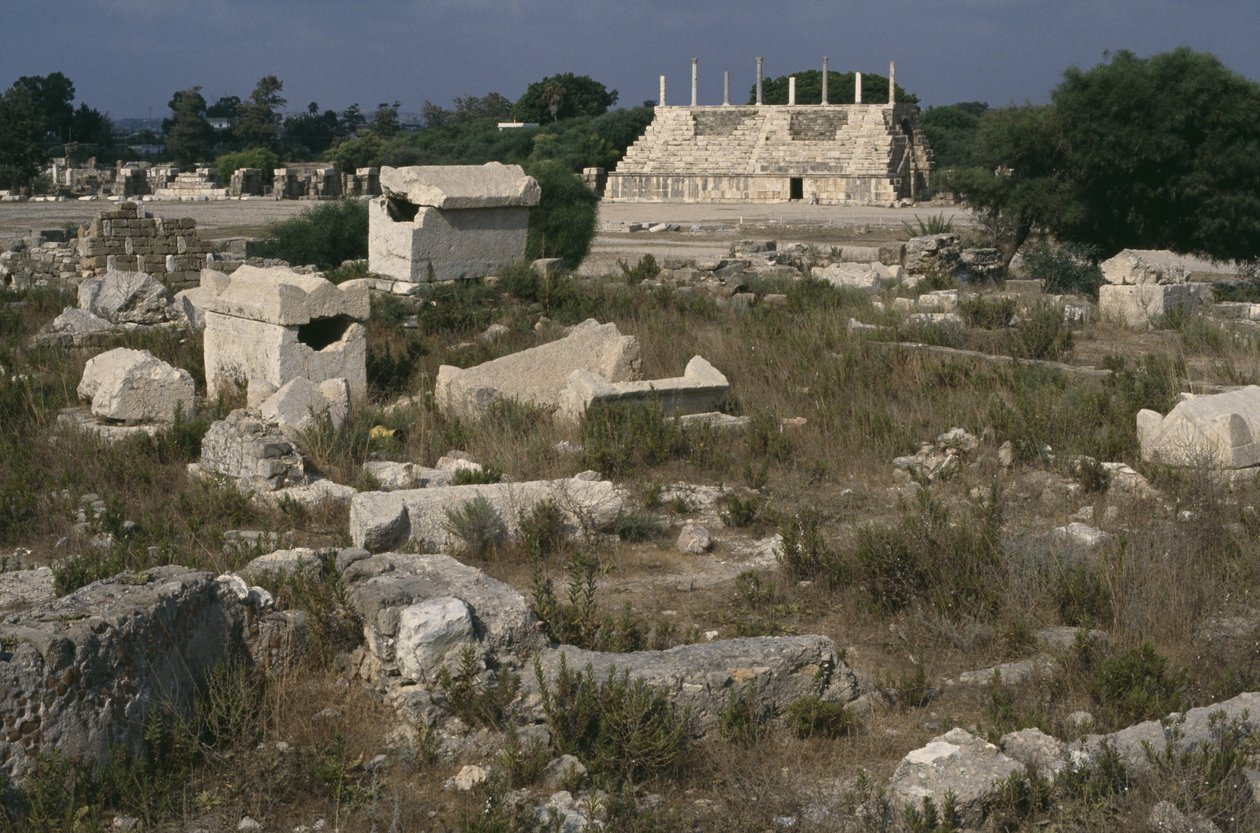 View of the Roman Cemetery and the Hippodrome by Roman