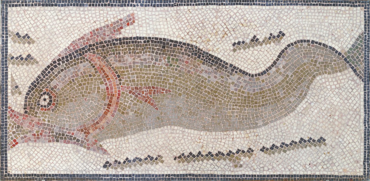 Dolphin, from Tunis, 3rd-5th Century AD by Roman Roman