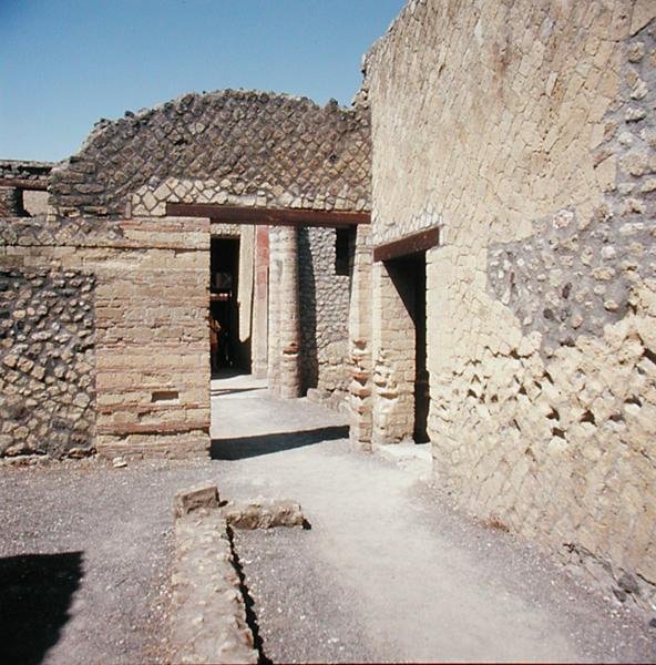 House of the Mosaic Atrium by Roman Roman