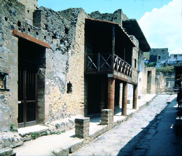 View of Cardo V by Roman Roman
