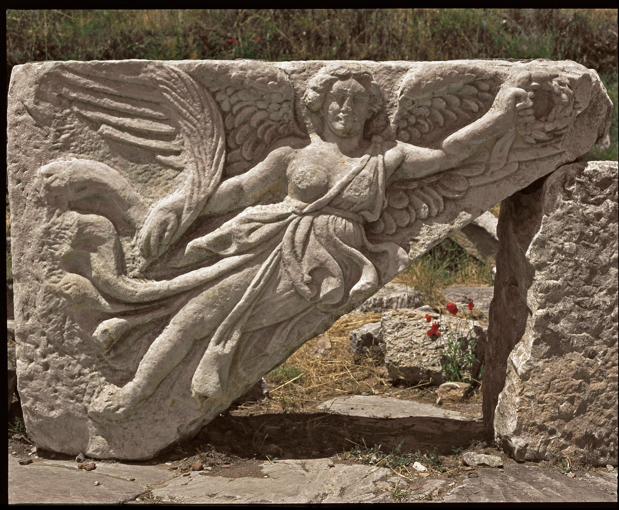 Nike. Low Relief Wing by Roman