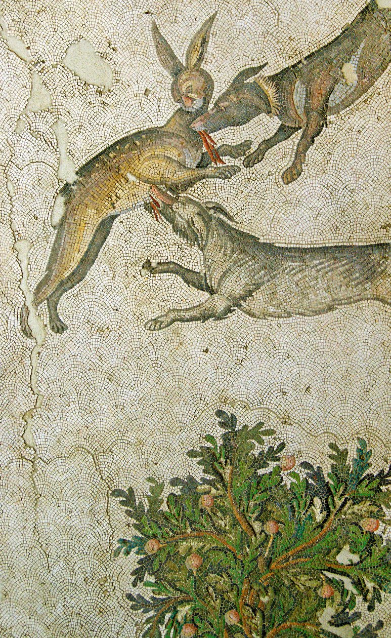 Unknown Image by Roman