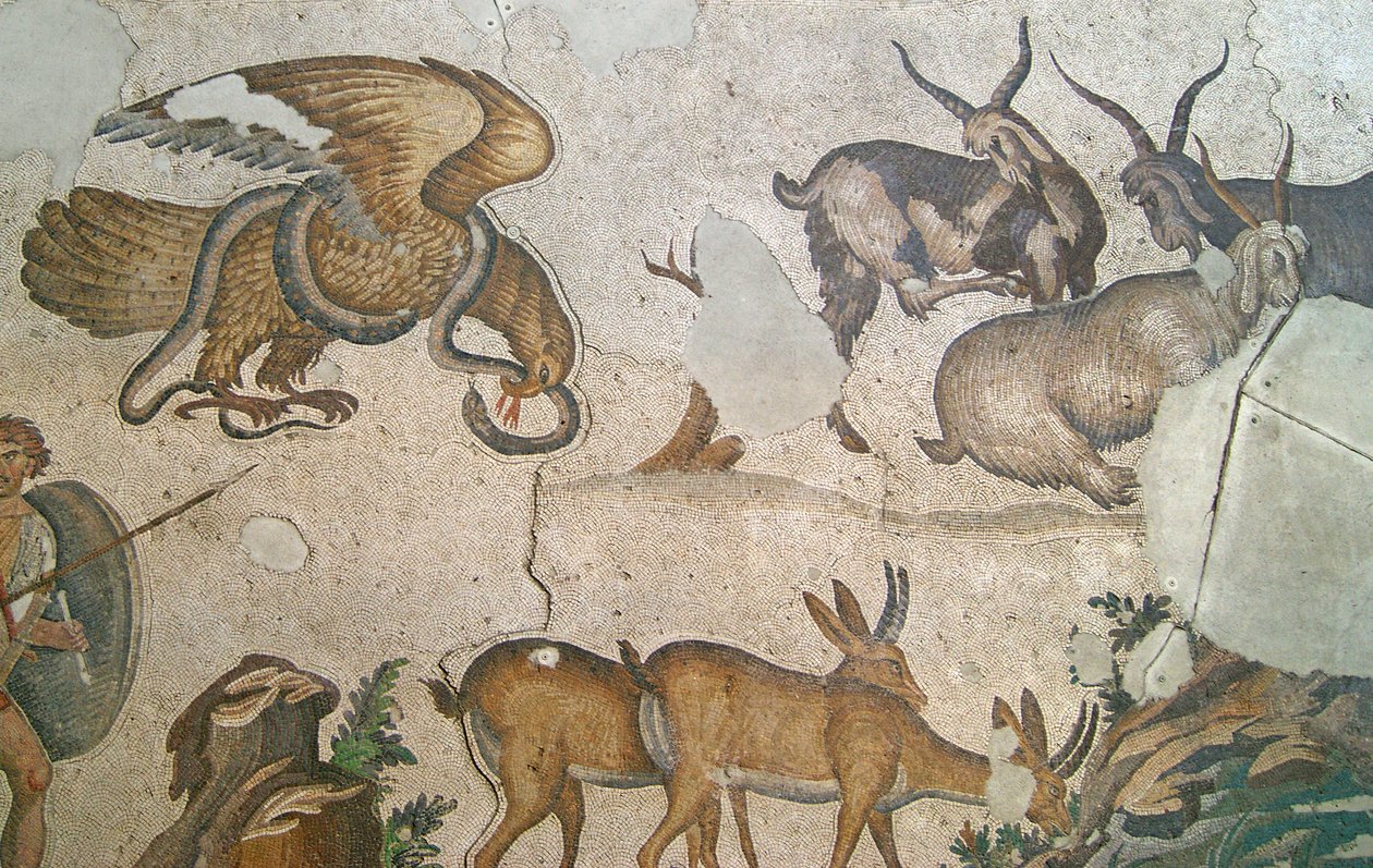 Unknown Image by Roman