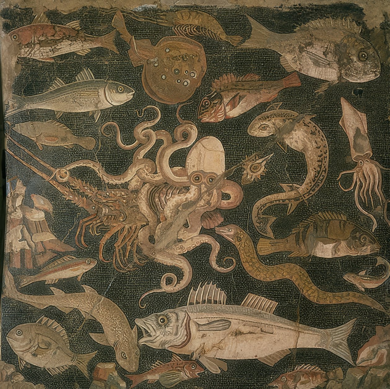 Aquatic Animals, Battle between an Octopus and a Lobster by Roman