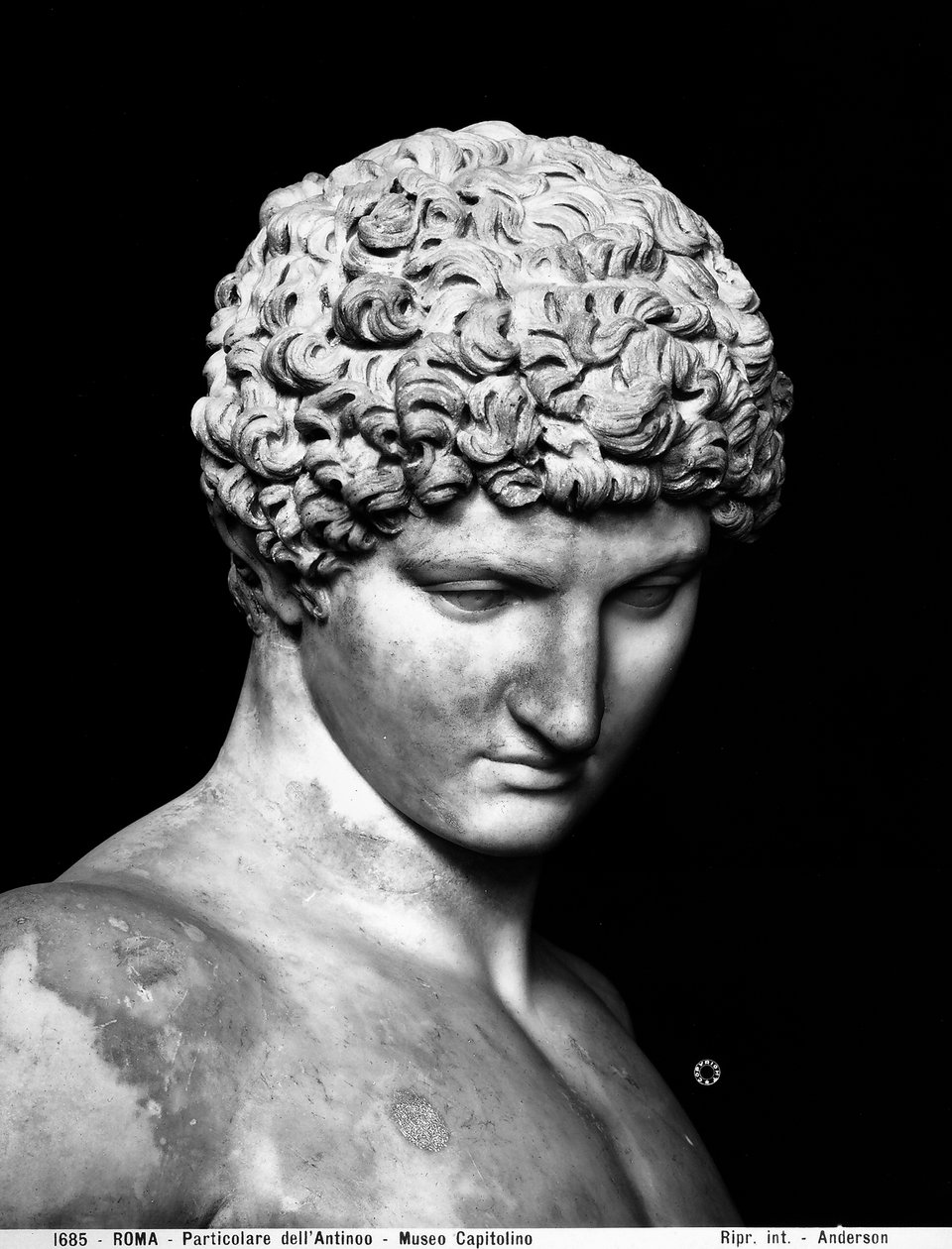 Antinous (detail) by Roman Roman