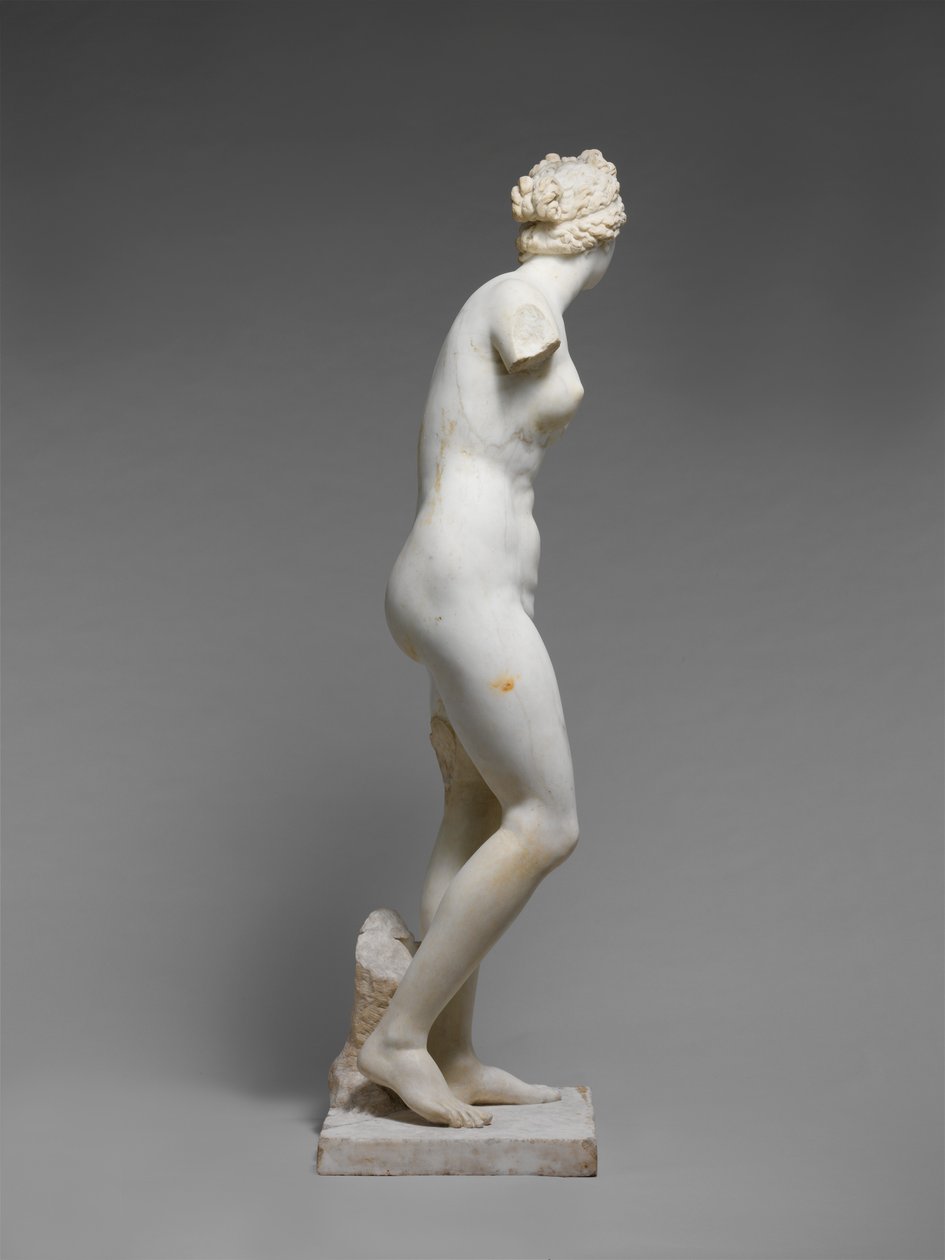 Statue of Aphrodite by Roman Roman