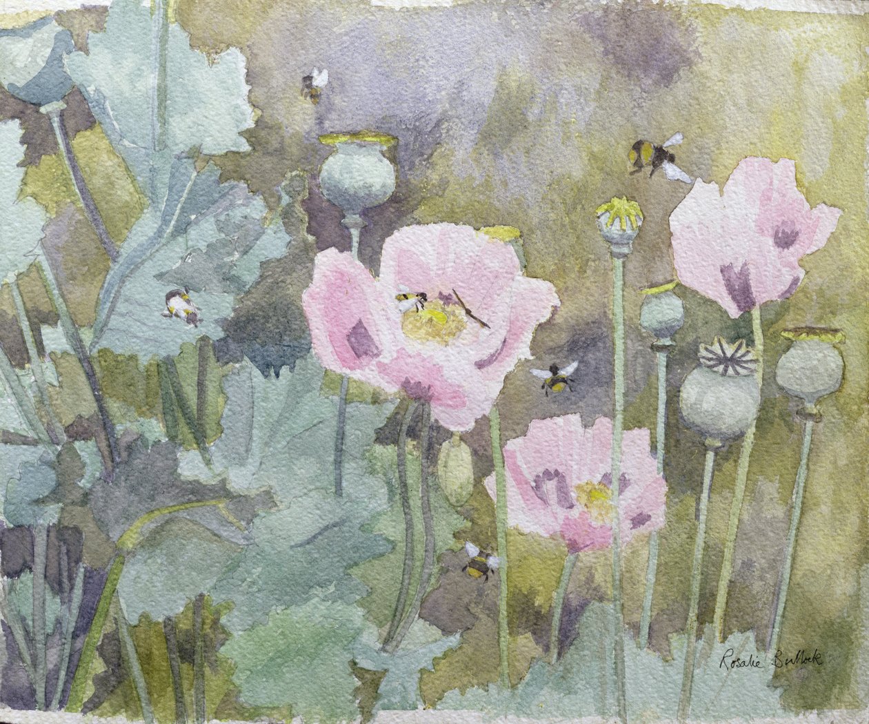 Pink poppies with bees by Rosalie Bullock