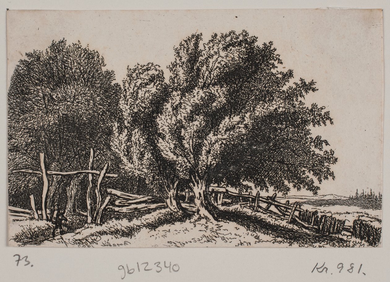 Landscape by Rosalie Holm