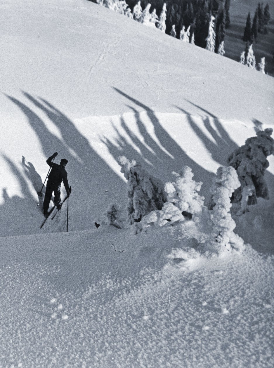 The Skier by Rudolph Koppitz