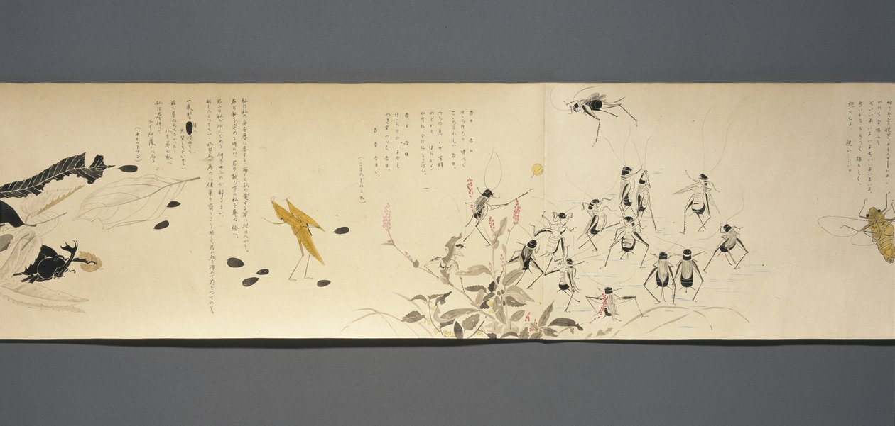 Wildlife Friends (Yasei no Tomo), Taisho Period, Taisho 7th Year, c.1918 by Ryoka Kawakami