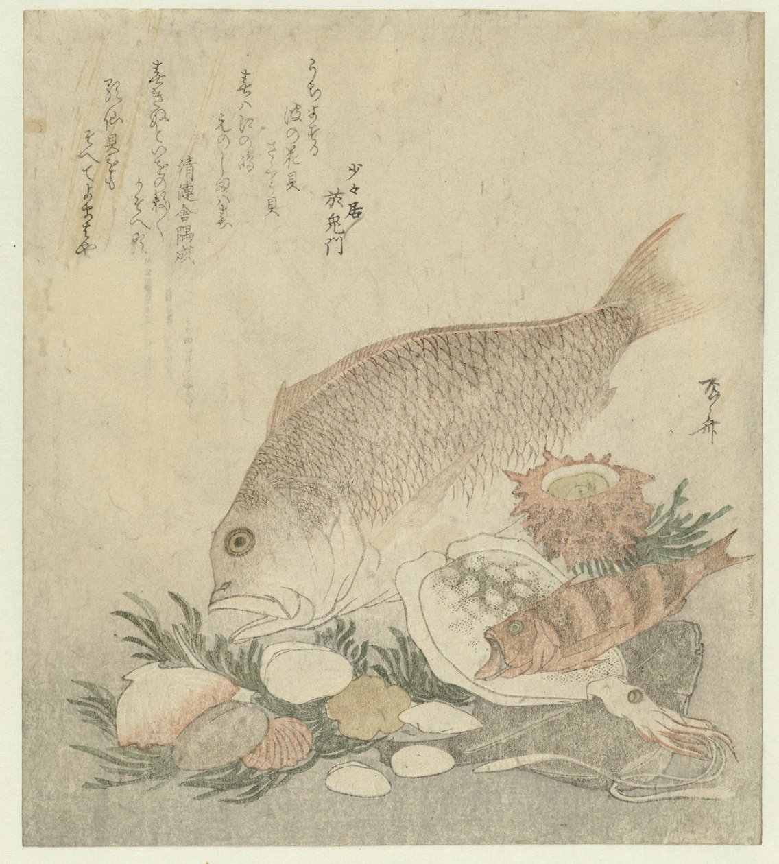Fish and Shells by Ryuryukyo Shinsai