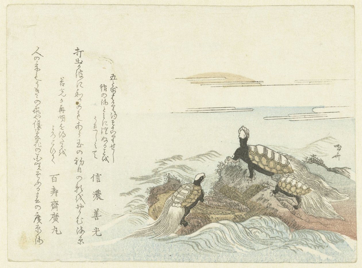 Turtles on a Rock by Ryuryukyo Shinsai