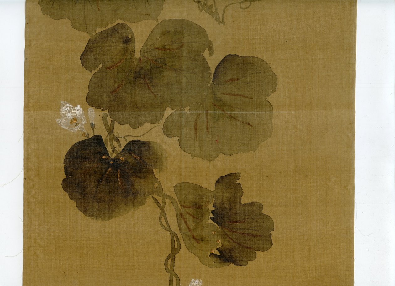 Flowering Gourd Vine, Rinpa School, Signature and Seal of Sakai Hoitsu by Sakai Hoitsu
