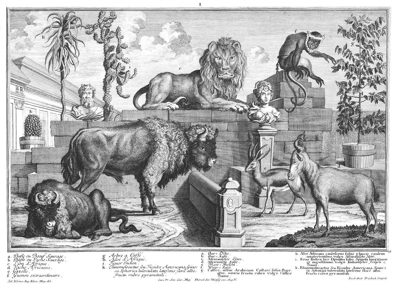 Lion and Pair of Bison by Salomon Kleiner