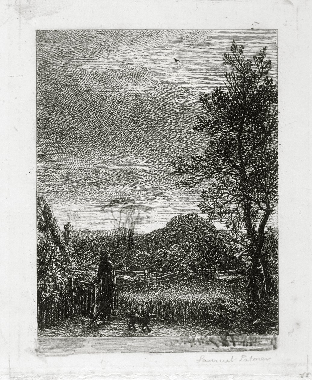 The Skylark by Samuel Palmer