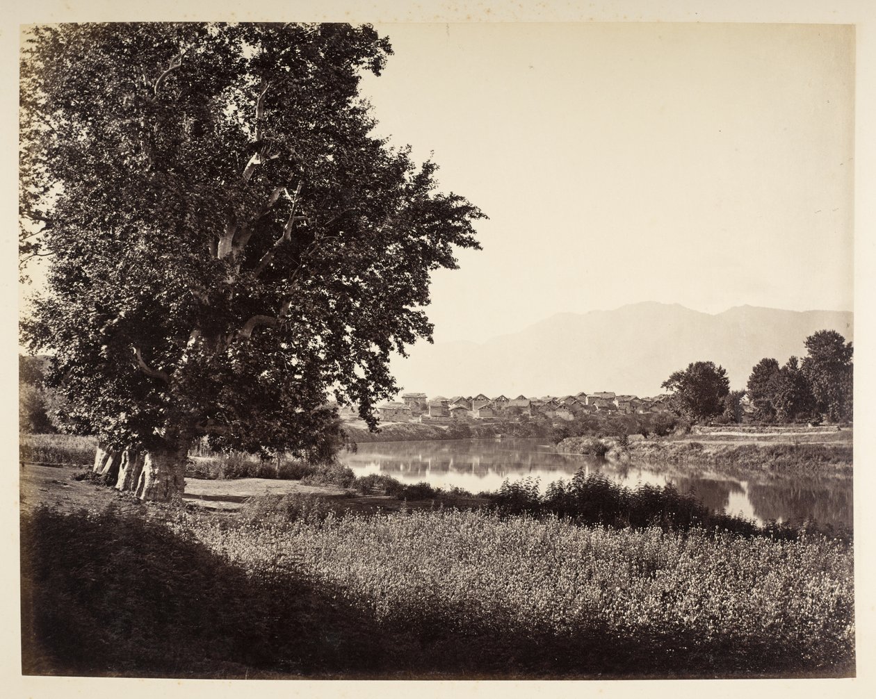 Bij Bihara on the Jhelum by Samuel Bourne