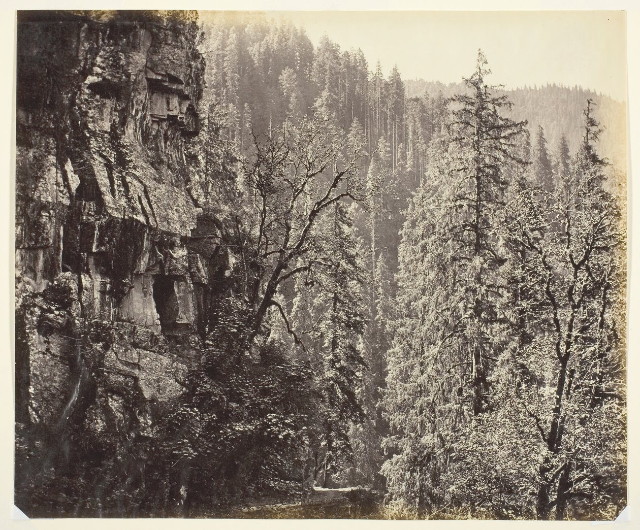 Untitled [Cliffs and Trees] by Samuel Bourne