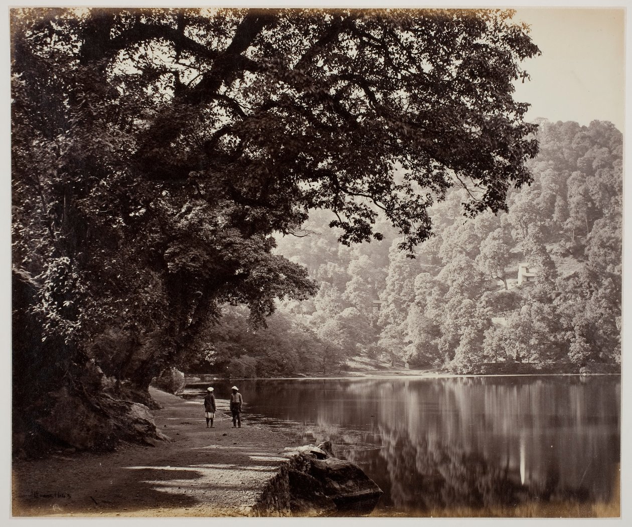 Untitled [trees near water, India] by Samuel Bourne