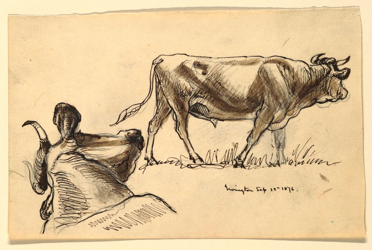 Sketches. Cattle, Irvington, September 1876 by Samuel Colman