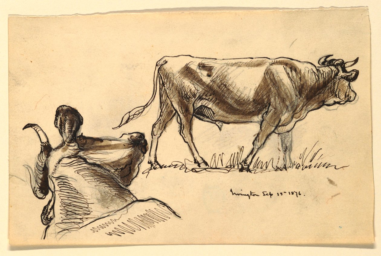 Sketches of Cattle, Irvington by Samuel Colman