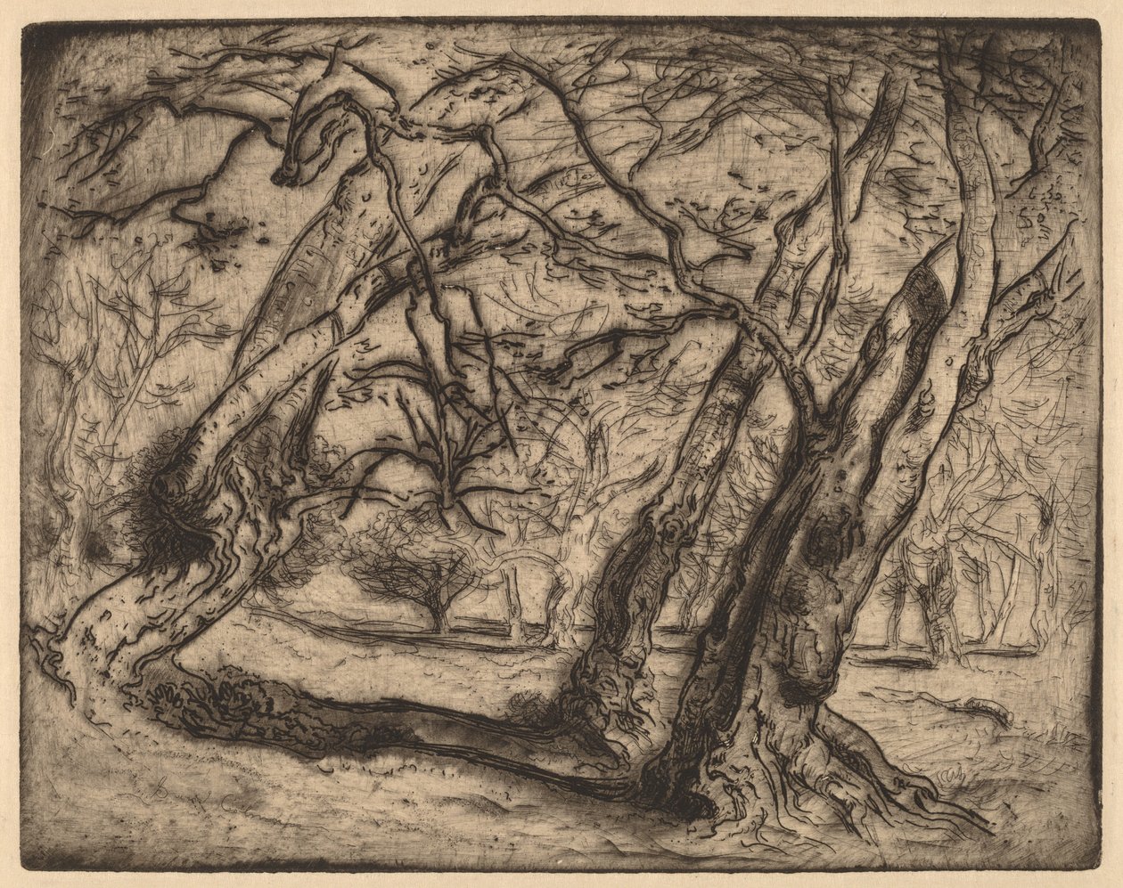 Untitled (Wooded Landscape) by Samuel Colman