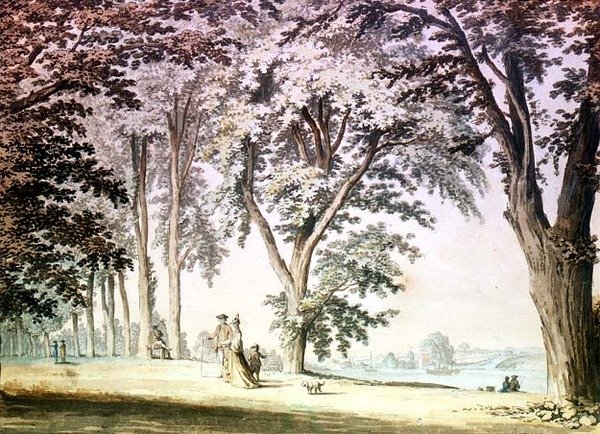 Trees by the Thames opposite Hammersmith by Samuel Hieronymous Grimm