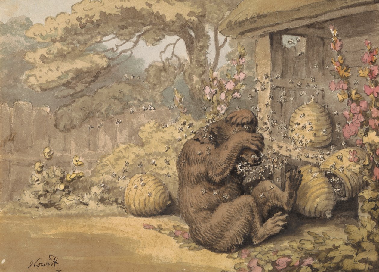 The Bear and the Bee-Hives by Samuel Howitt