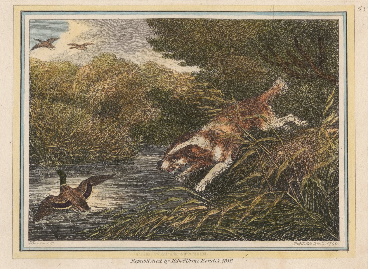 The Water Spaniel by Samuel Howitt