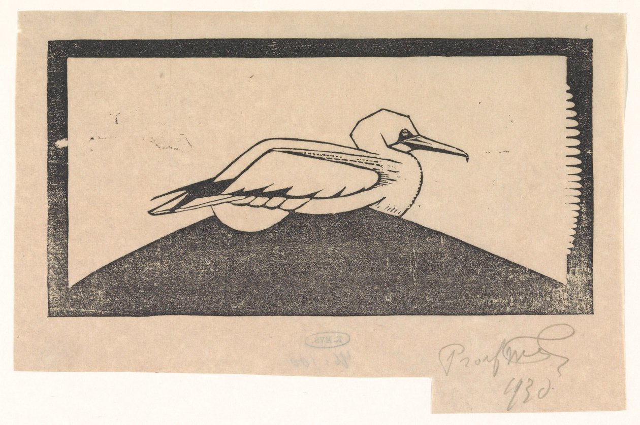 Gannet by Samuel Jessurun de Mesquita