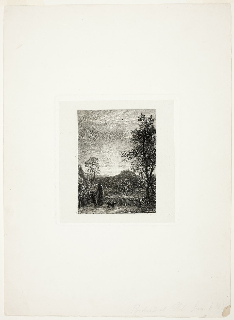 The Skylark by Samuel Palmer