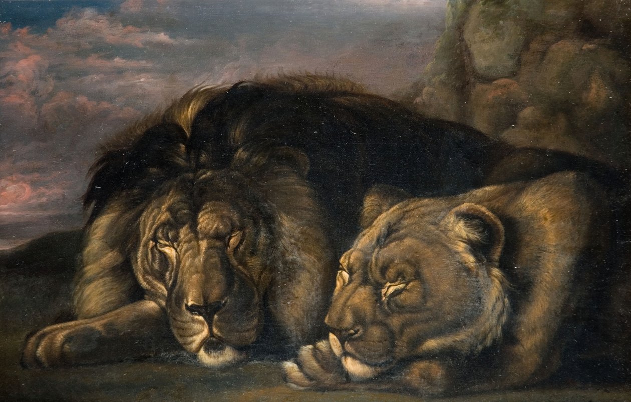 Sleeping Lion and Lioness by Samuel Raven