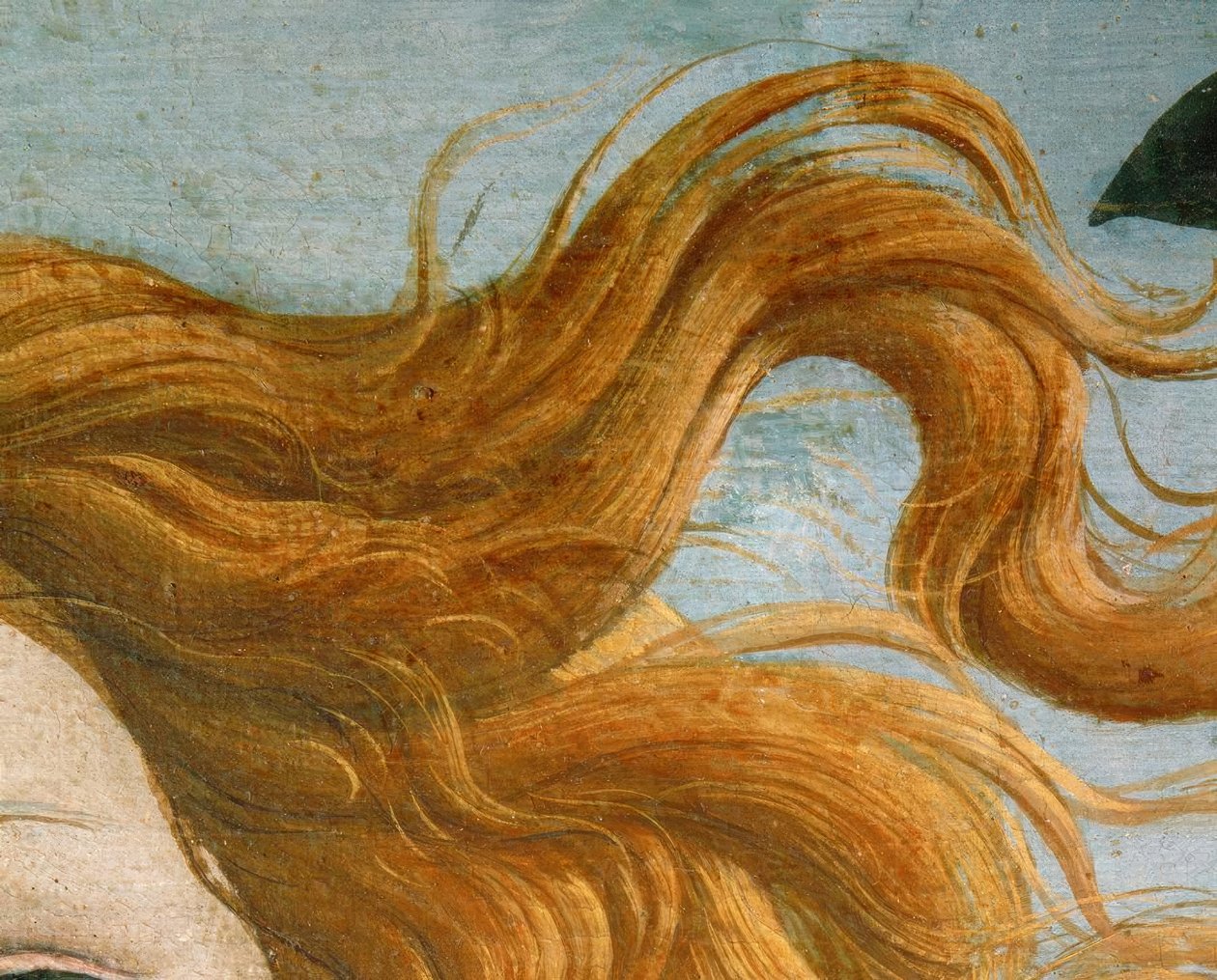 The Birth of Venus by Sandro Botticelli