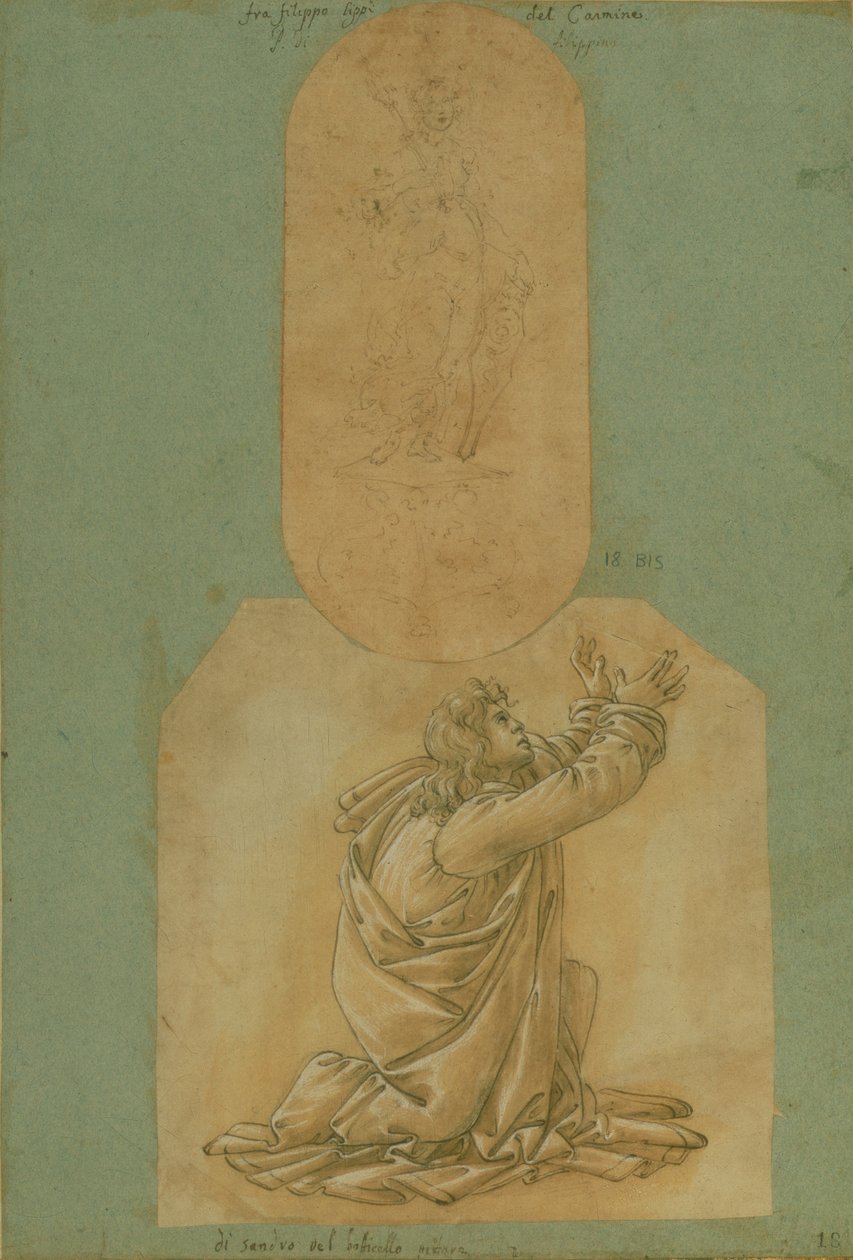 Study of St. Thomas by Sandro Botticelli
