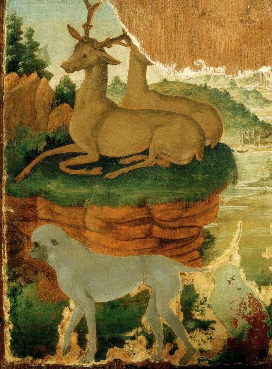 Landscape with Roe Deer and Monkeys by Sandro Botticelli