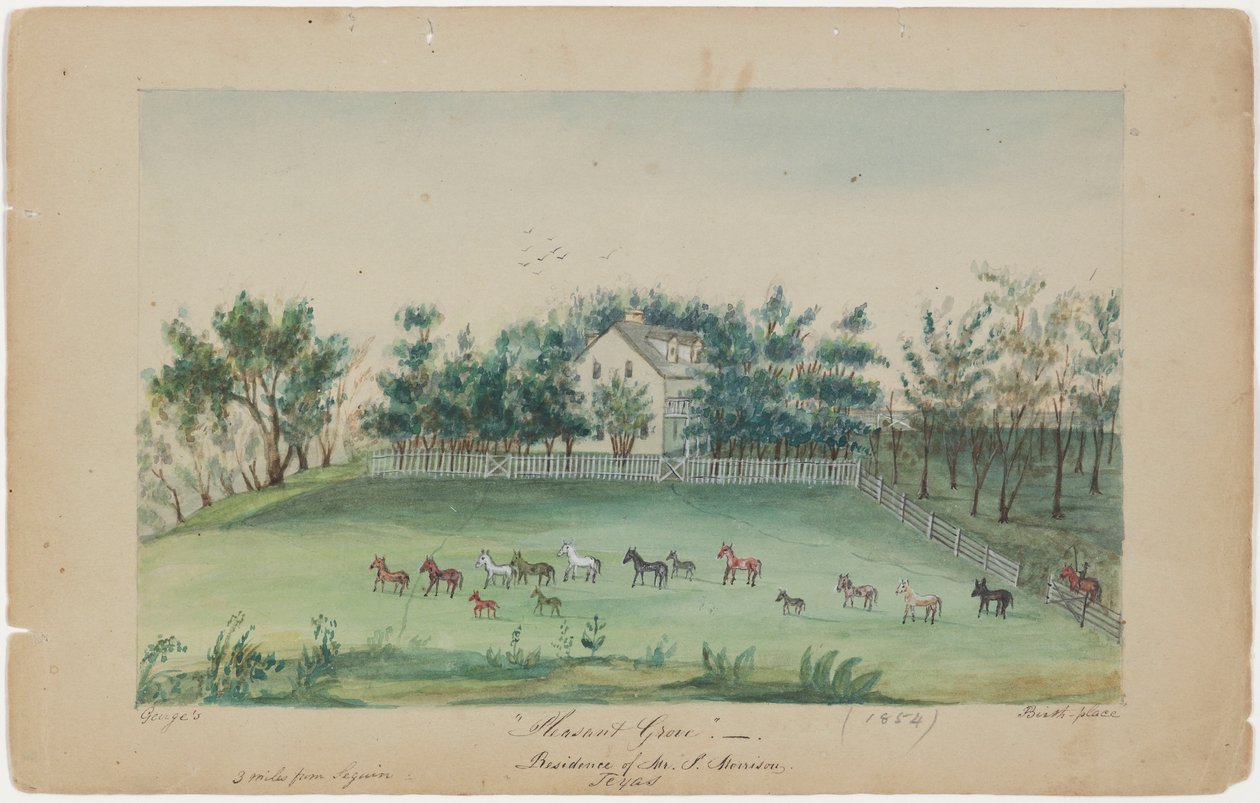 Pleasant Grove by Sarah Ann Lillie Hardinge