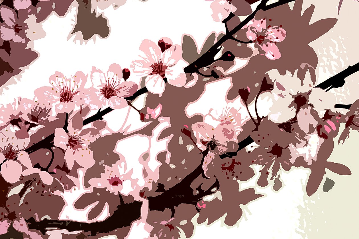Japanese Blossom by Sarah OToole